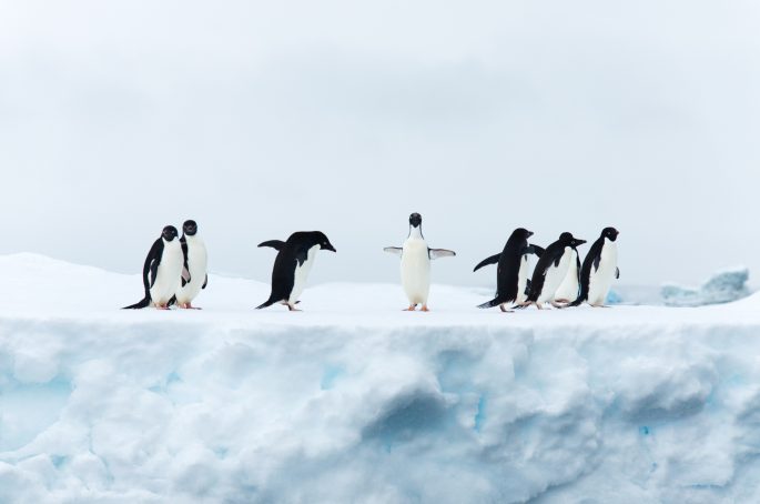 marvin-heilemann-hhwxgGPWg-A-unsplash