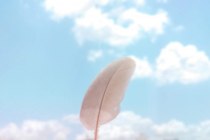 hari-singh-tanwar-BqXEa-464R0-unsplash