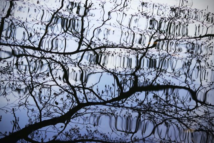 tim-johnson-TYnHpsuAkBg-unsplash