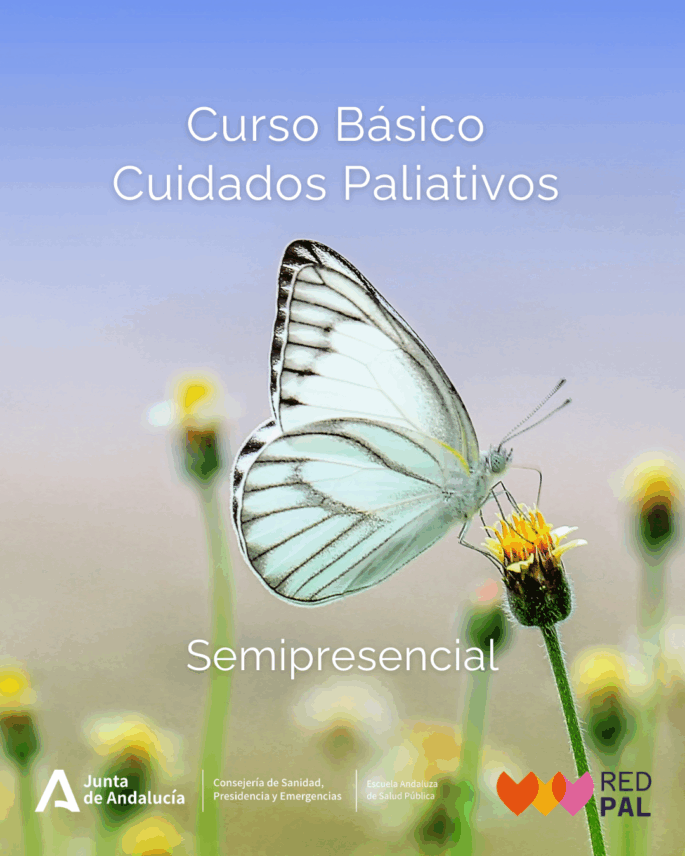 BÁSICO