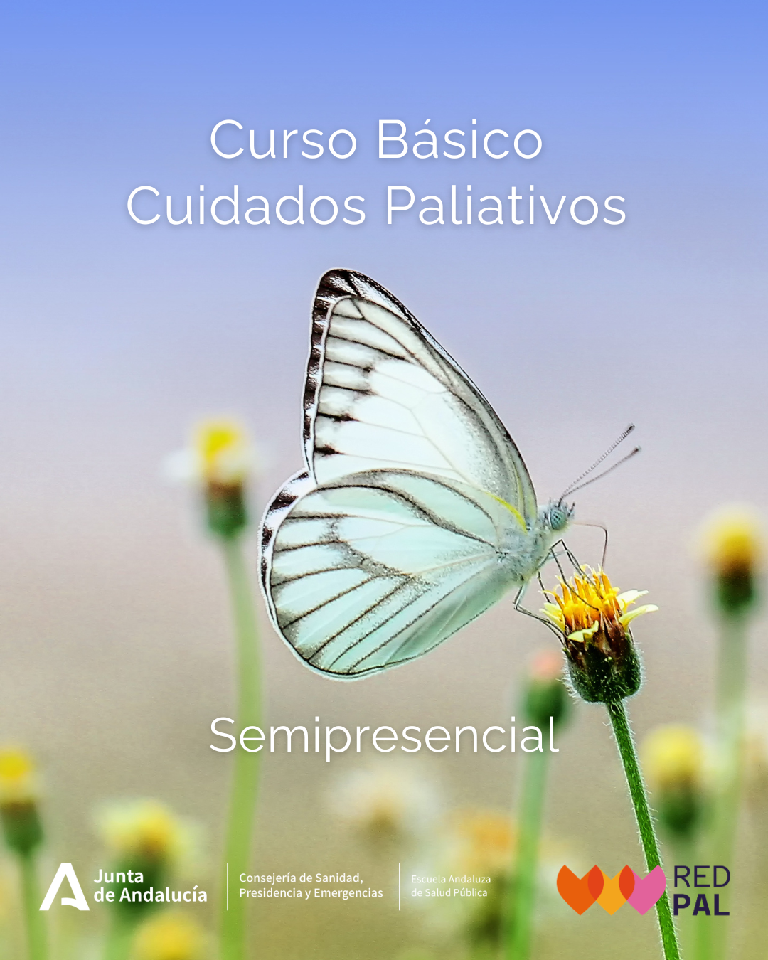 BÁSICO
