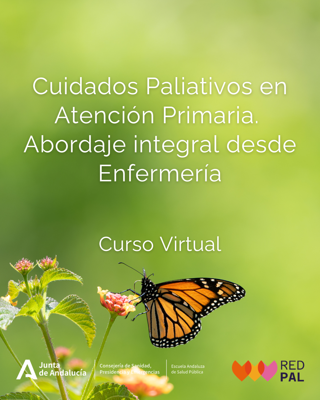 enfermeria ap(1)
